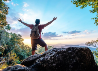 Tales from the Amazon: Wildlife Encounters in the Heart of Brazil