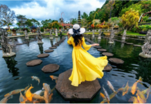 The Lost Cities of Mesoamerica: Unearthing Aztec and Mayan Civilization