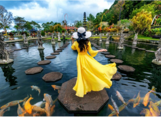 The Lost Cities of Mesoamerica: Unearthing Aztec and Mayan Civilization