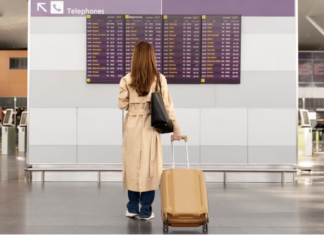 Whale Watching Hotspots: Where to Witness Majestic Marine Life