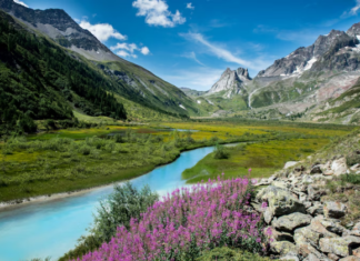 Hidden Waterfalls: Serene Nature Escapes Off the Beaten Path