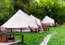 Why Campgrounds with Cabins Are Perfect for Family Vacations